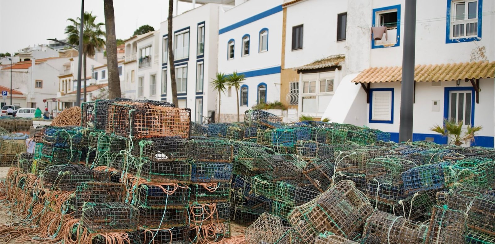 Foto 4-5-25, 21 22 39 (44)